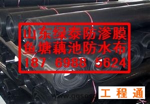 41960.3681419907_6