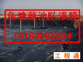 41975.3535619213_2