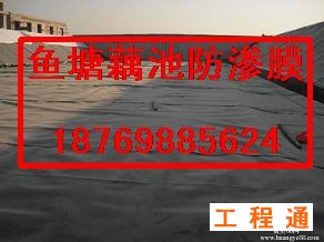 41975.3535762037_3