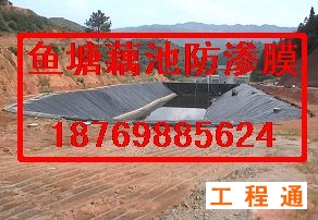 41975.3536358796_7