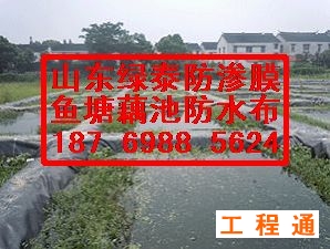 41960.368166956_8