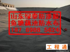 41960.3680642361_10