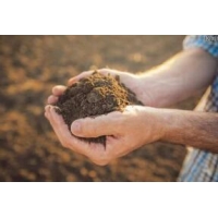 广西做土壤监测的公司-土壤监测的工作内容
