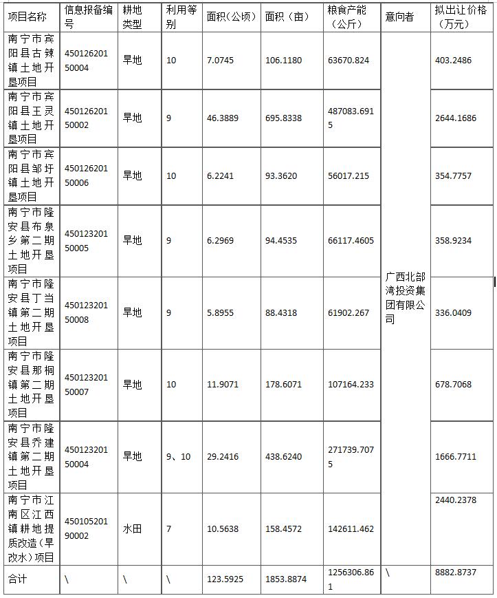 南宁市2020年第一批补充耕地指标协议出让公告