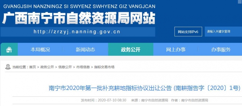 南宁市2020年第一批补充耕地指标协议出让公告