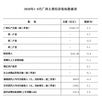 广西承接建设项目前期工作咨询的公司