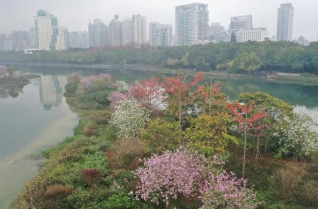 南宁美景