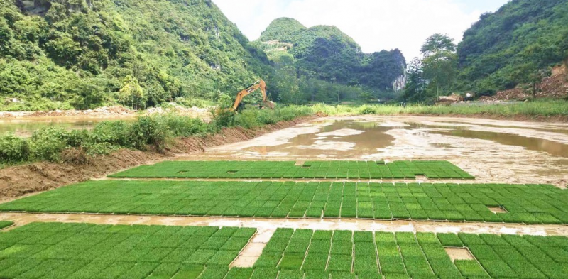 广西旱改水实施方案编制，什么是旱改水