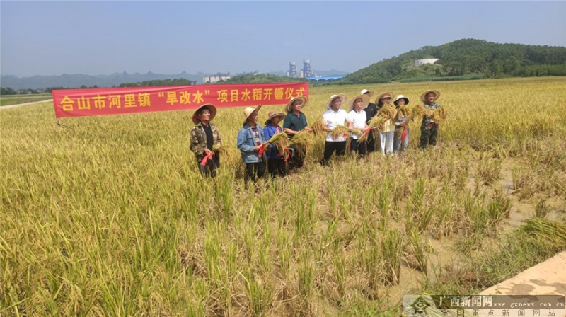 广西来宾市旱改水项目初见成效，改出农民新希望