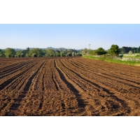 专业编写湖南节约用地报告 （长期有效）