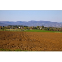 湖南如何切实提高土地利用效率？湖南节地报告