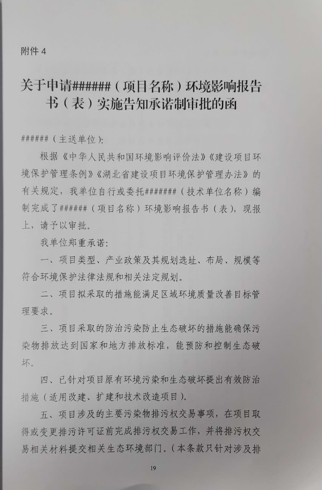 关于申请（项目名称）环境影响报告书（表）实施告知承诺制审批的函