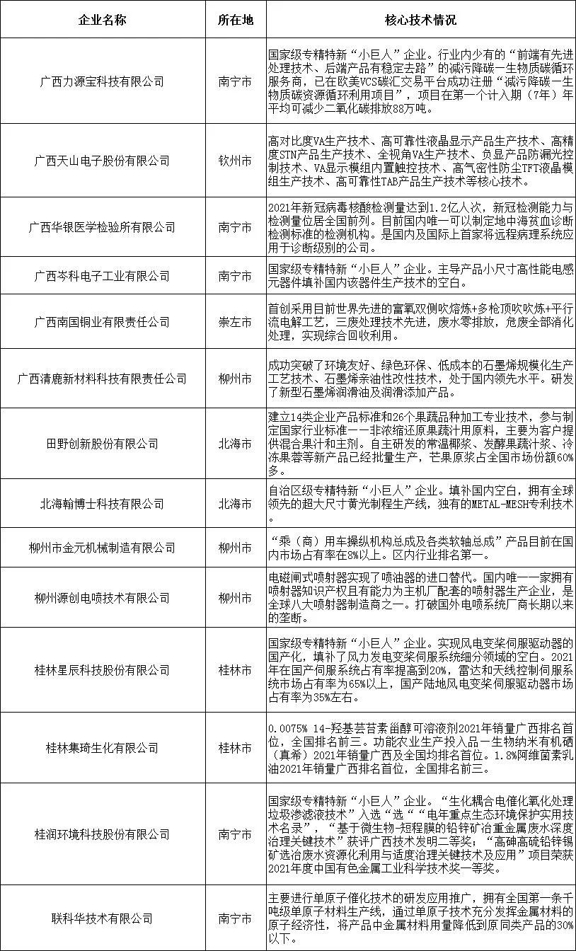2022广西最具潜力民营企业榜单